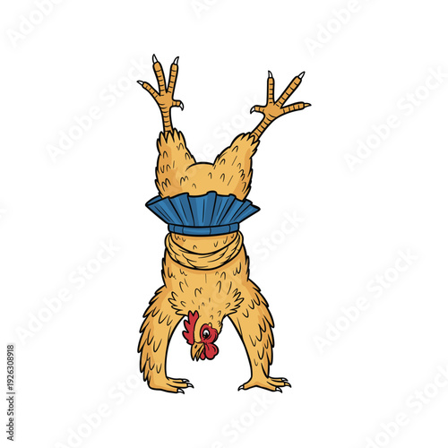 Funny chicken doing handstand in ballet skirt on white background