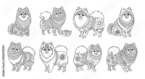 Intricate line art illustrations of pomeranian dogs in various poses