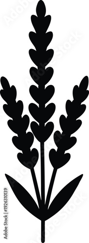 Lavender Flat Icon Style Silhouette Vector Art Illustration