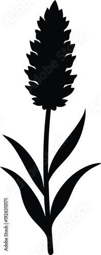 Liatris Flat Icon Style Silhouette Vector Art Illustration
