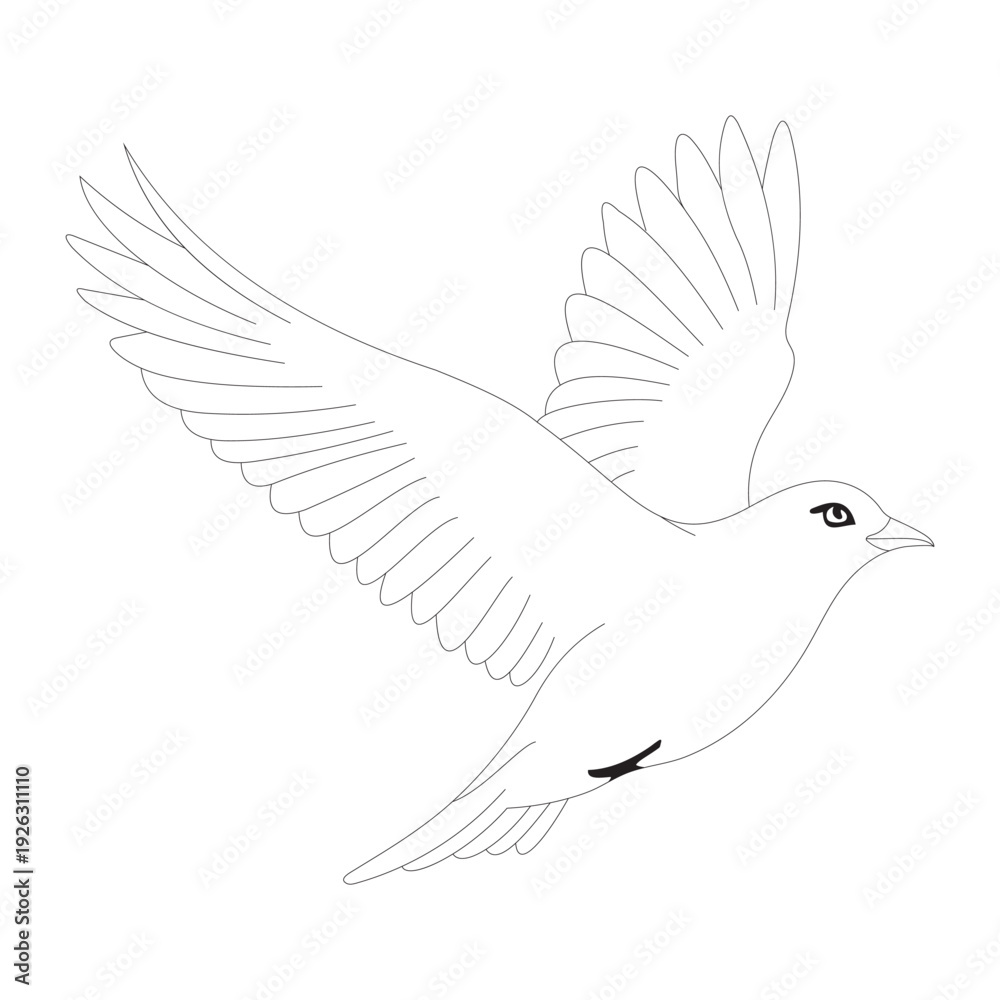 Obraz premium Flying bird outline vector illustration. Hand-drawn black and white line art of a bird in flight with spread wings, isolated on a white background.