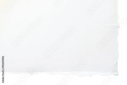 White crumpled paper texture with torn edge.Ripped white paper with shadow on white background.Blank white sheet of paper with jagged edges.