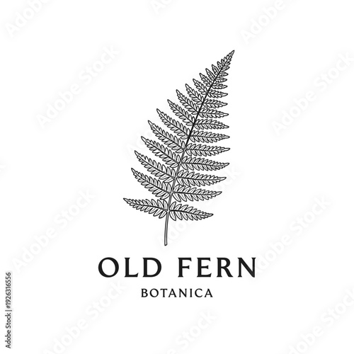 Foto Elegant Fern Frond Illustration for Botanica Brand Identity.