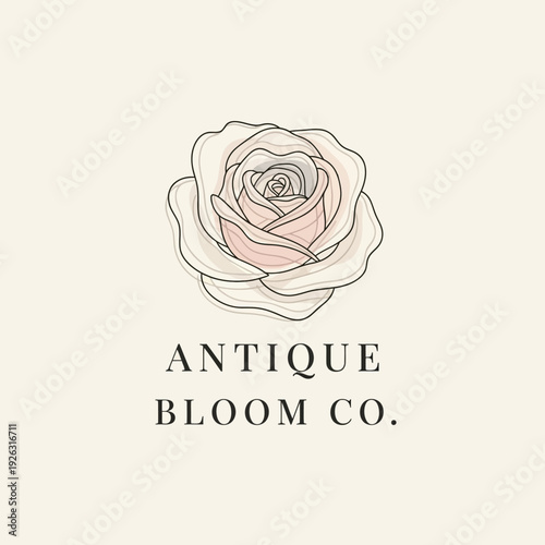 Elegant hand drawn rose flower logo design illustration.