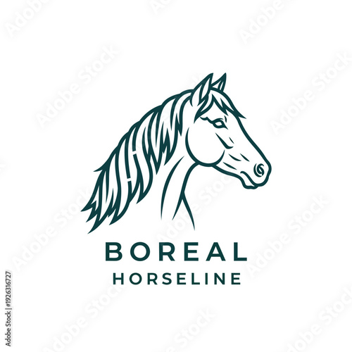 Elegant horse head line art logo design for an equestrian brand.