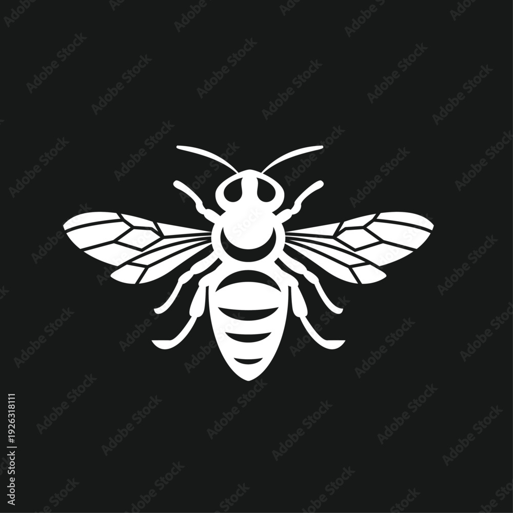 Obraz premium Stylized White Bee Silhouette Vector Illustration on Black Background