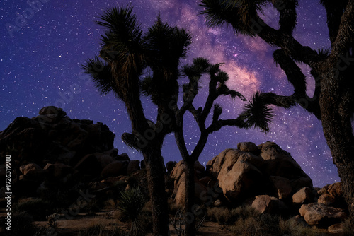 Starry sky and milky way galaxy at night in Joshua Tree Nationaส