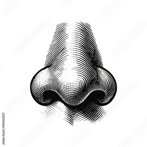 Schilderij op canvas Detailed Black and White Woodcut Engraving of a Human Nose