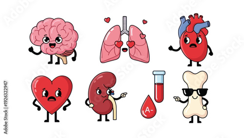 Cute Cartoon Human Organs Set with Brain, Lungs, Heart, Kidney, Blood, and Bone Characters.