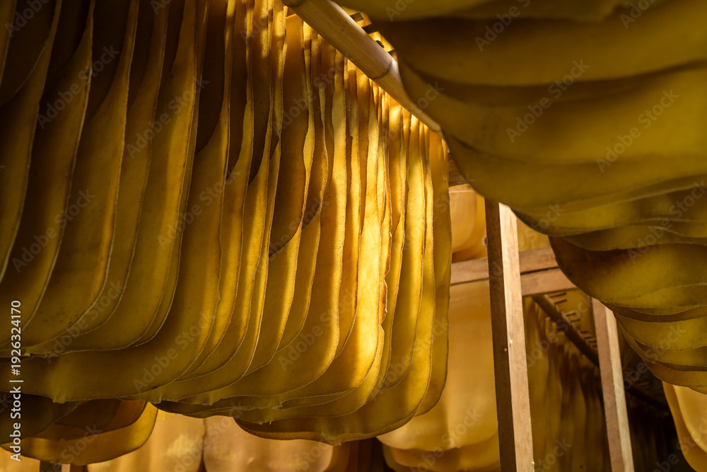 Fototapeta premium Close up of rubber sheet drying