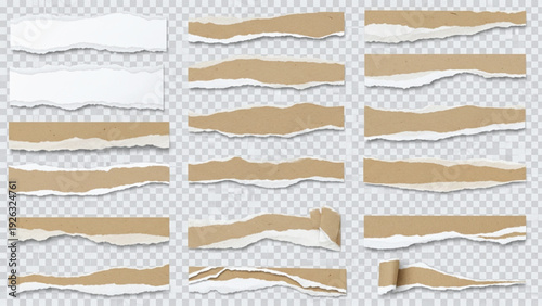 Collection of brown and white torn paper strips on transparent background.