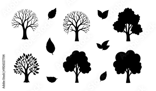 Decorative hand drawn tree and leaf botanical vector set with seasonal bare and green foliage isolated on white