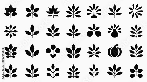 Autumn season logo silhouettes 35 unique black leaf and fruit icons on white background for design