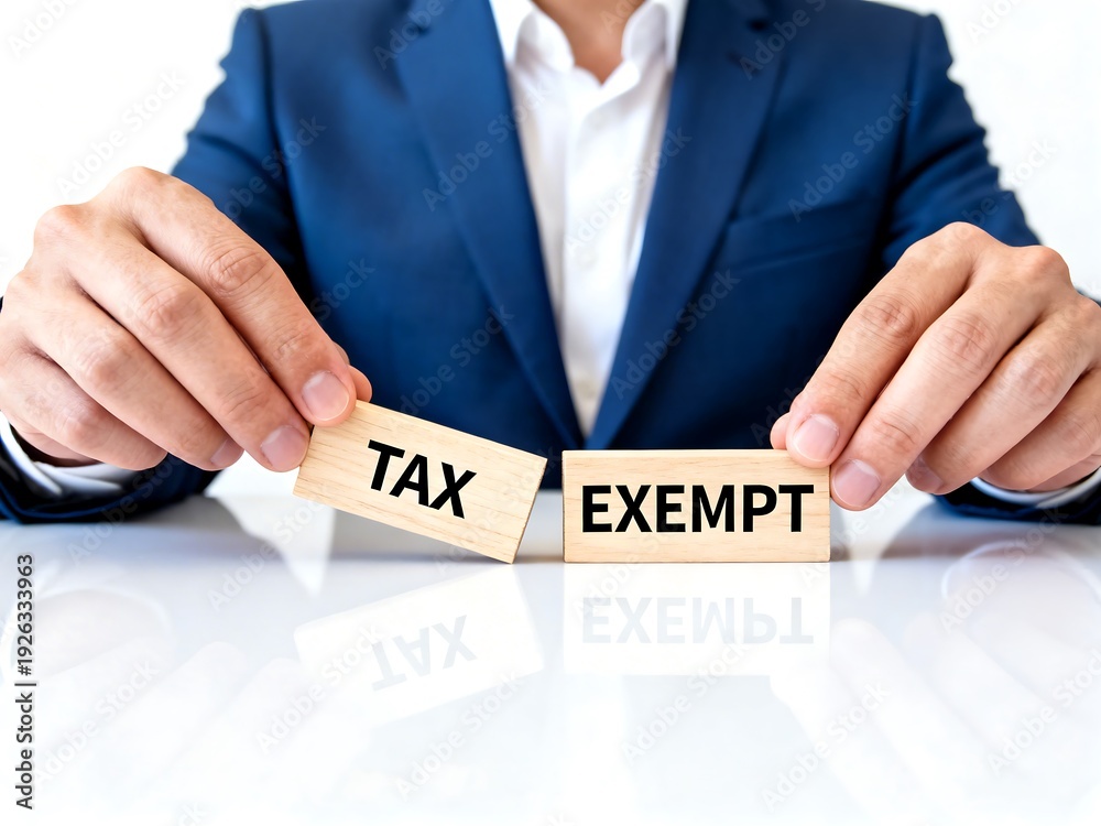 Obraz premium Man in a suit holding wooden blocks with 'TAX' and 'EXEMPT' to represent financial decisions and tax law. Next Generation Interior Concept – Premium Visual Design