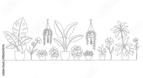 Continuous line drawing of various potted houseplants and hanging plants.