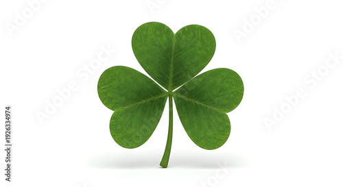 A vibrant photorealistic rendering of a four leaf clover on white