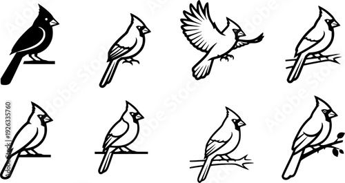 cardinal silhouette line art vector illustration with a white background