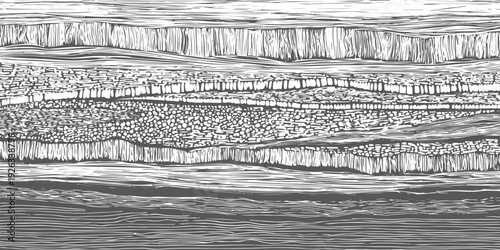 Abstract layered rock strata texture monochrome line