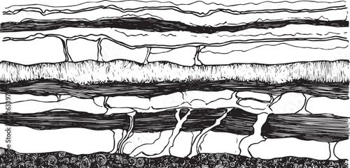 Black and white abstract layered texture with organic shapes