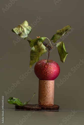 Still life with a branch with leaves and a ripe apple with water drops. Minimalism.