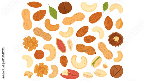 Assorted Nuts Vector Set – Peanut, Almond, Walnut, Cashew and Hazelnut Illustration