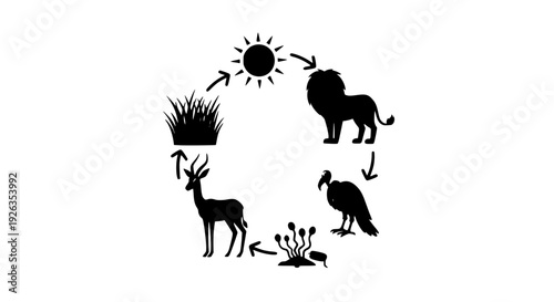 Savanna Food Chain Cycle Cartoon – Kids Science Vector Illustration