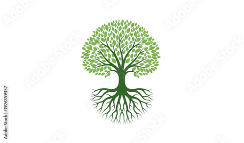 Green tree with exposed roots eco logo design minimalist vector illustration isolated on white background