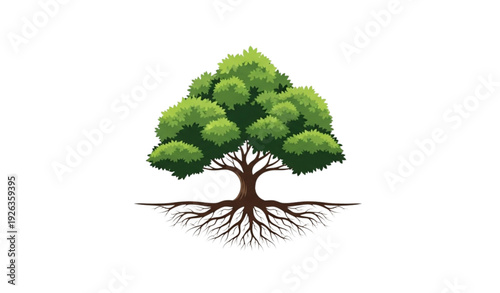 Beautiful flourishing green tree with detailed root system logo style vector illustration isolated on white background