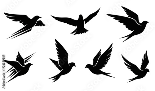 Abstract bird silhouettes in dynamic angles and modern artistic poses isolated on white background vector design collection
