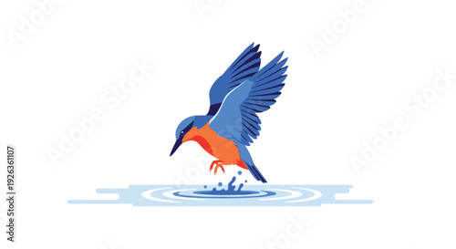 A vividly colored blue and orange kingfisher bird is descending towards a calm water surface, creating small blue ripples.
