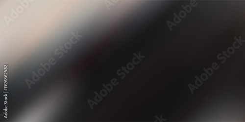 Abstract Black and White Gradient Mesh Background with Soft Vertical Blurring