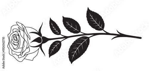 Black outline rose flower with long stem and leaves isolated on white background for design and decoration