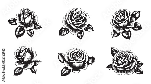 Set of black and white rose heads in various angles for vintage pattern design and floral tattoo concepts