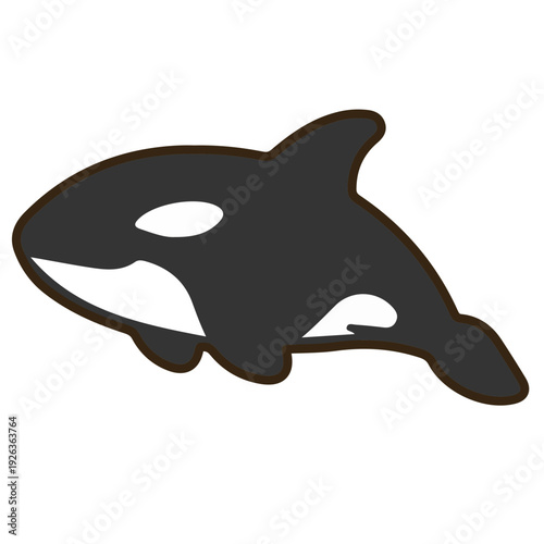 Orca Killer Whale Illustration