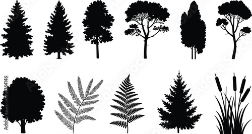 Black and white forest tree silhouettes set, pine oak fir cedar fern reed botanical vector illustration collection isolated