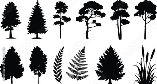 Black and white tree and plant silhouette collection, forest pine oak fern reed botanical vector illustration set isolated