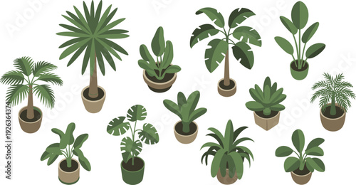 Isometric tropical houseplant collection set, flat vector illustration of potted palm monstera banana and indoor decorative plants