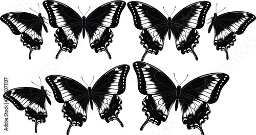 Collection of black swallowtail butterfly silhouettes with detailed wing patterns and delicate antennae representing nature beauty flight and summer garden wildlife