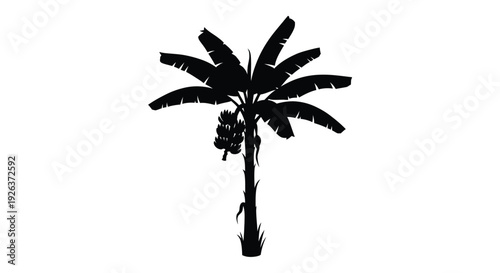 A striking black palm tree against a white background silhouette