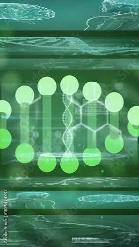 Vertical video: Double-helix forming as orbs falling and pairing into nodes, showing DNA hologram