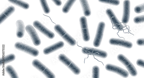 Medical Scientific 3D Photo-realistic Illustration: Rod-shaped Bacteria (Bacilli)