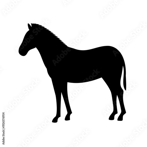 Majestic black and white zebra silhouette standing against a solid white background