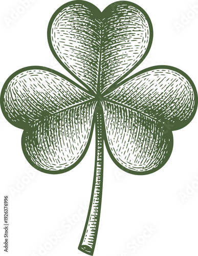 Vintage Three Leaf Clover Shamrock Hand Drawn Engraved Style Illustration