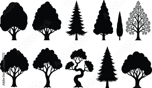 Collection of ten diverse tree silhouette vector illustrations featuring pine, bonsai, cypress, and leafy designs for nature, education, and artwork