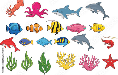 Colorful, marine, life, collection, cartoon, sea, animals, fish, dolphin, shark, coral, seaweed, underwater, ocean, fauna, illustration, aquatic, tropical, wildlife, set