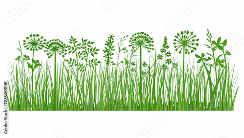 A vibrant collection of green grasses wildflowers and foliage illustration