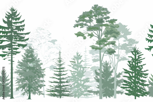 Stylized illustration of a lush forest with varying shades of green trees