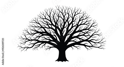 A stark silhouette of a bare tree with intricate branching patterns