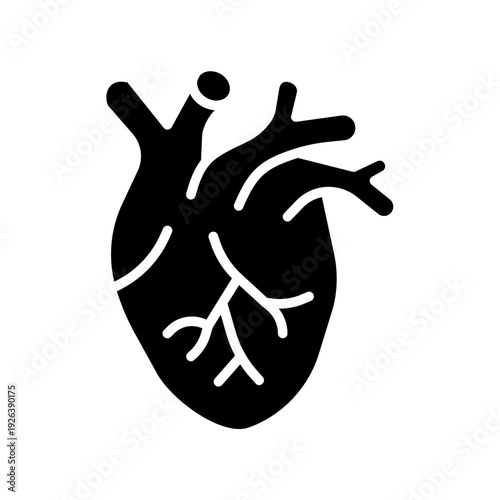 Cardiovascular System Vector Icon