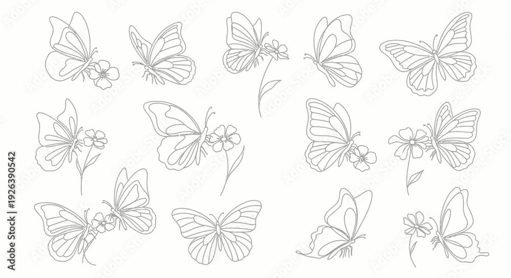Obraz premium Collection of Diverse Butterfly Illustrations with Flowers, Artistic Art Design